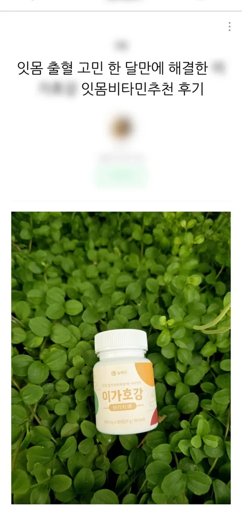 제품 · 식품/건강 일반 포스팅 발행 예시